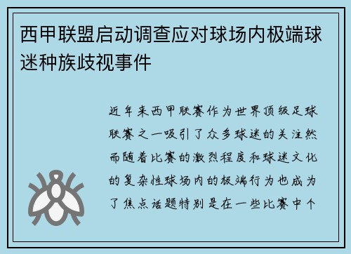 西甲联盟启动调查应对球场内极端球迷种族歧视事件